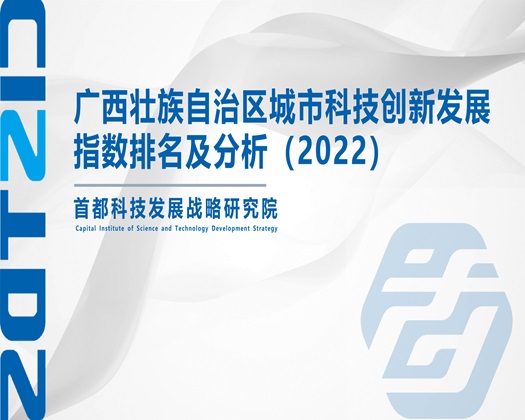 日本逼屄屄【成果发布】广西壮族自治区城市科技创新发展指数排名及分析（2022）